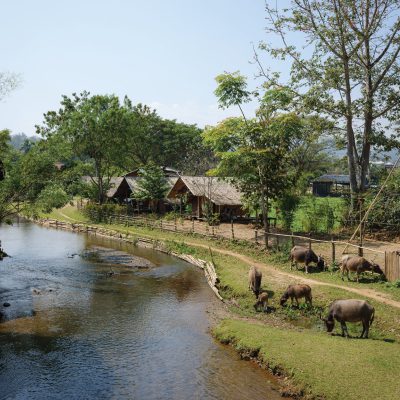 เมืองคอง