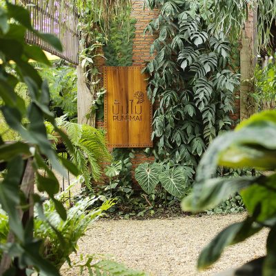 ปั้นไม้