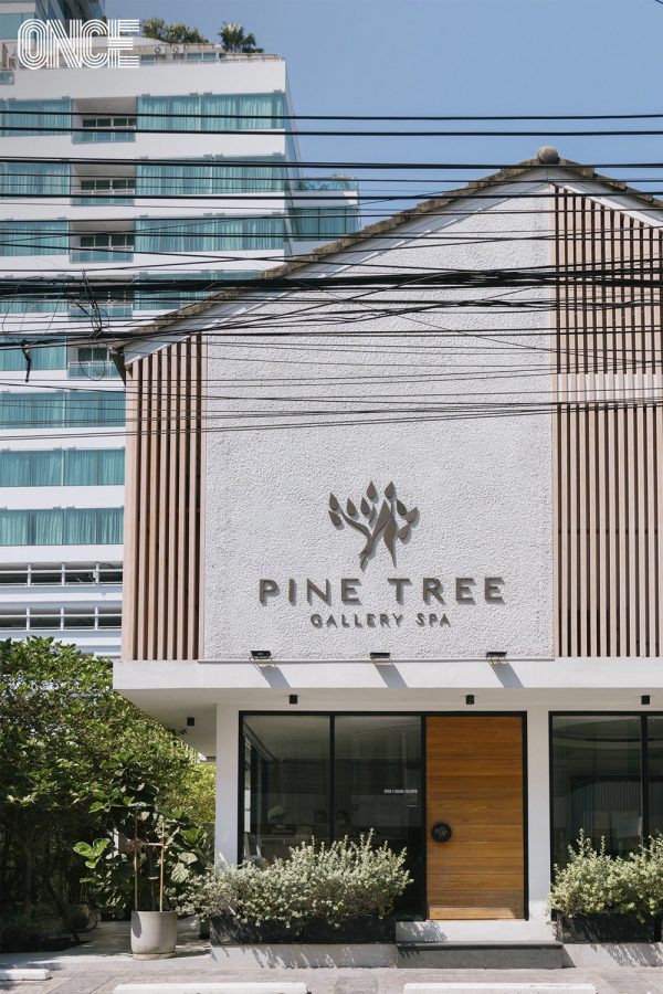 Pine Tree Gallery Spa