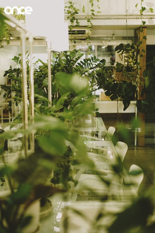 Plant Workshop Cafe
