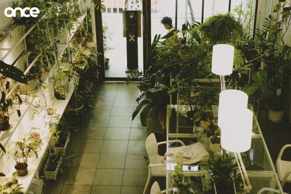 Plant Workshop Cafe