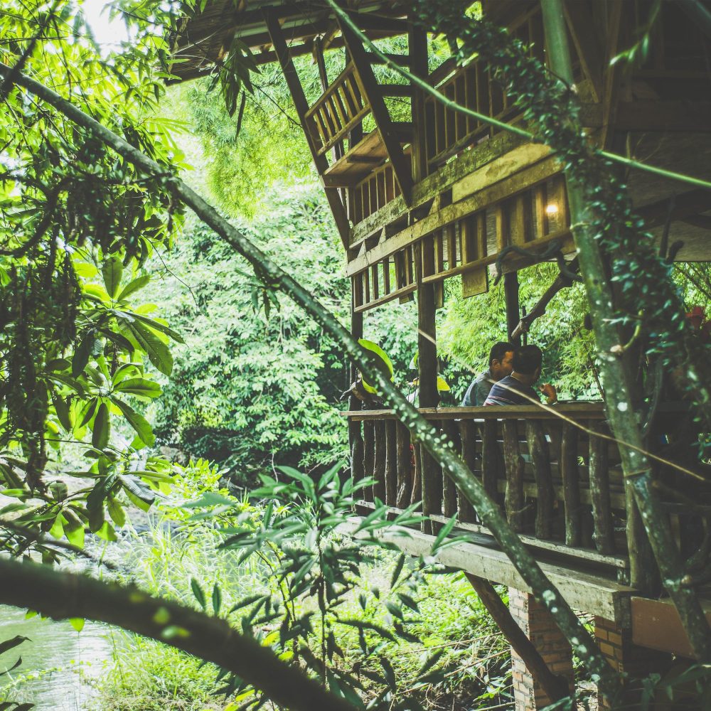 ฮัลโหล พัทลุง