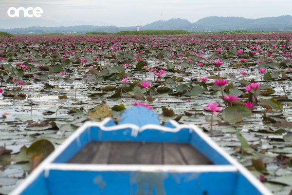 Dusit Princess Phatthalung