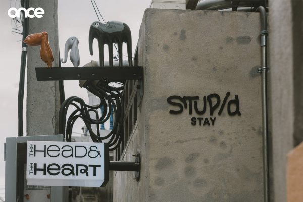 Stupid Stay