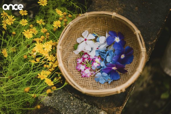 Flower Mandala