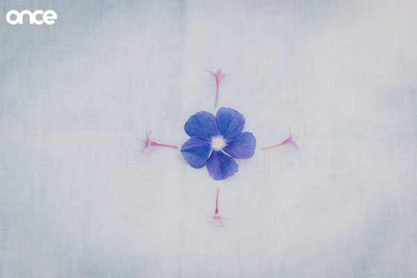 Flower Mandala