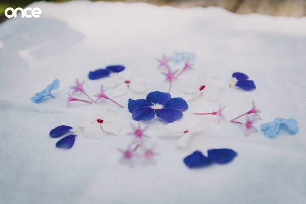 Flower Mandala