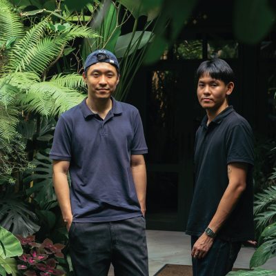 Wewild