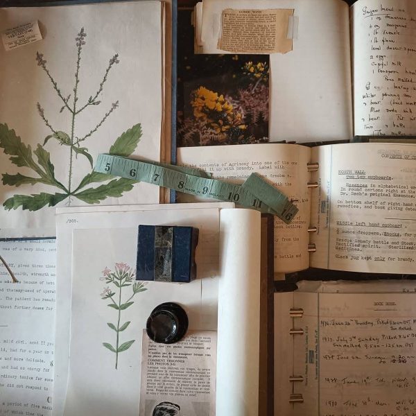 Bach Flower Remedies