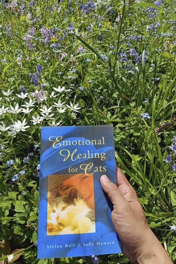 Bach Flower Remedies