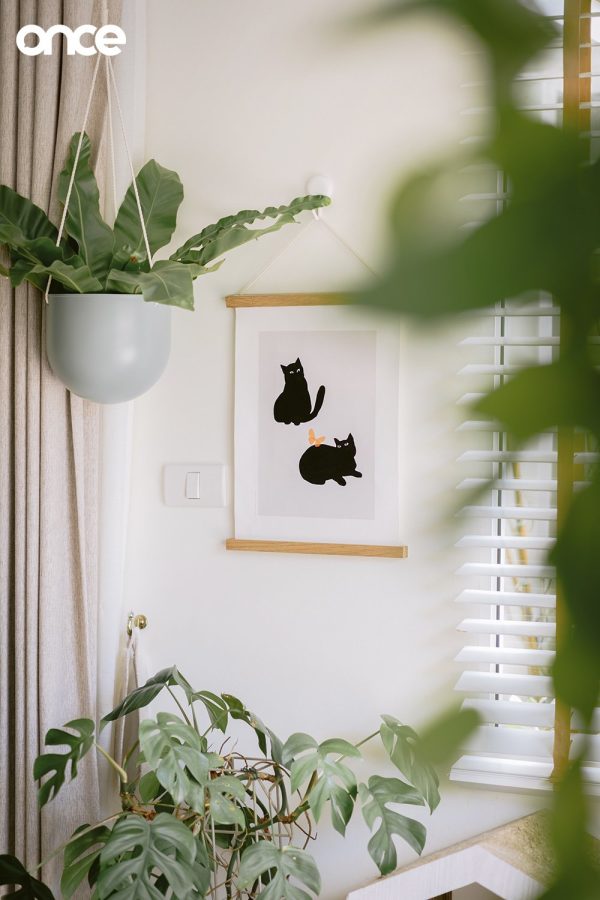 Cat Home