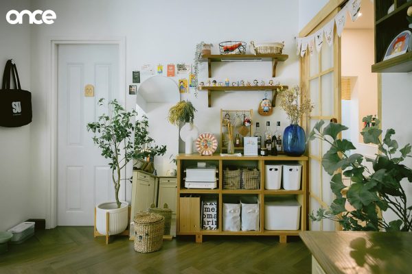Cat Home