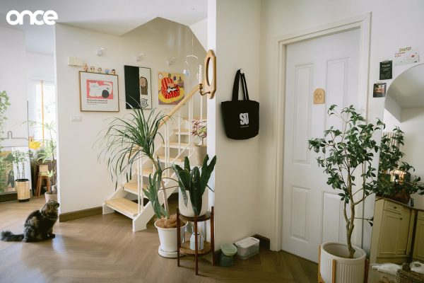 Cat Home