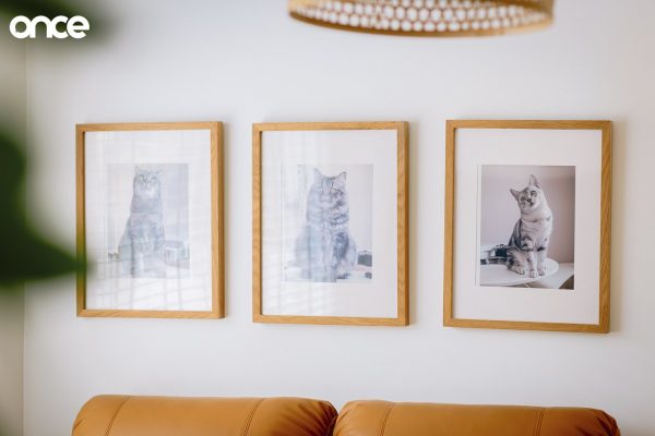 Cat Home