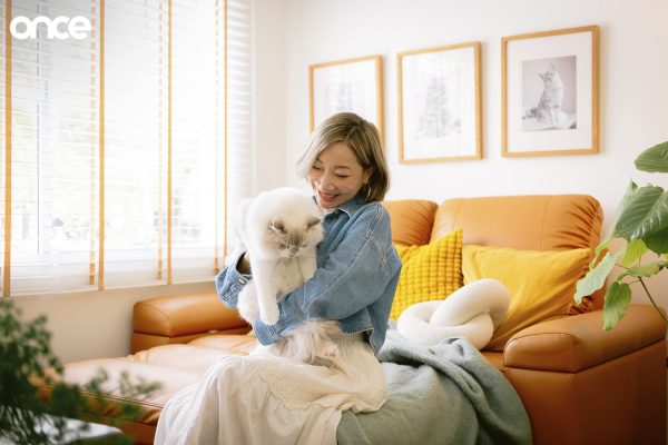 Cat Home