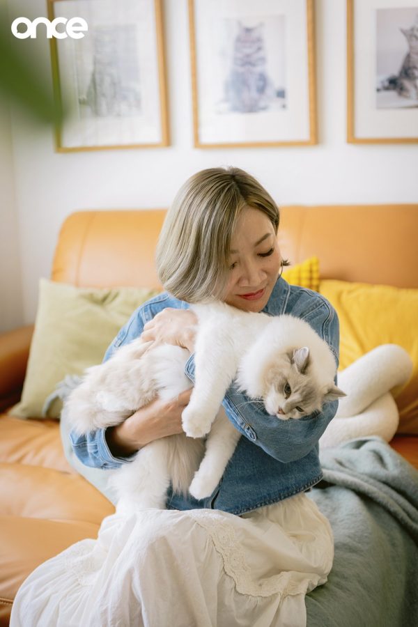 Cat Home