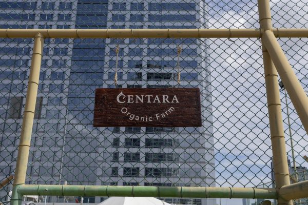 Centara