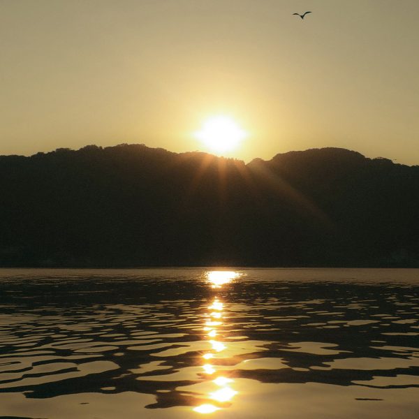 ปัญญ์ปุริ