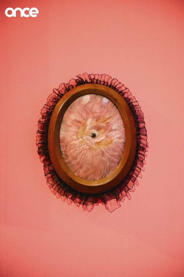 ชาติชาย ปุยเปีย