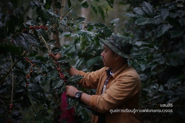 แสนสิริ