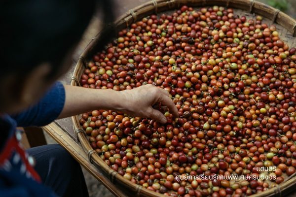 แสนสิริ