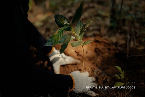 แสนสิริ