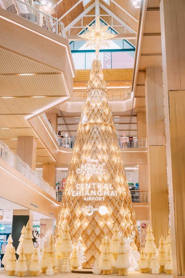 The Magical Stars 2026