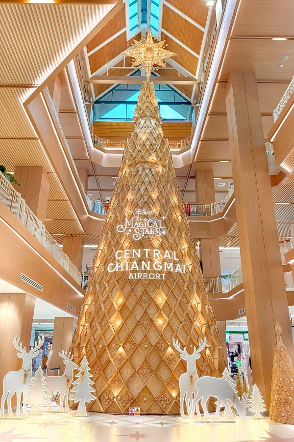 The Magical Stars 2026