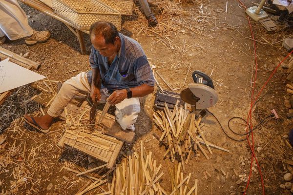 The Magical Stars 2026