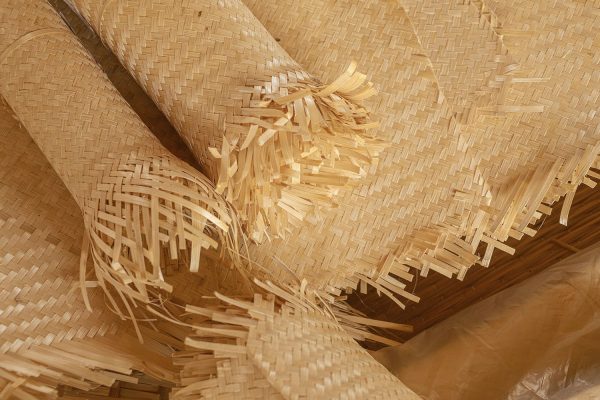 The Magical Stars 2026