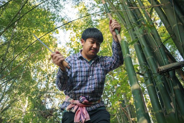 The Magical Stars 2026