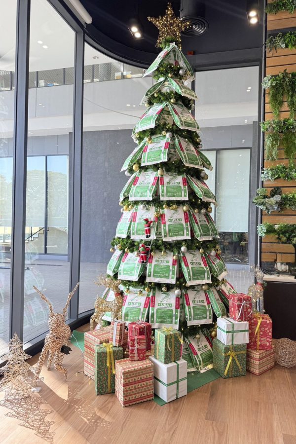 กาวซีเมนต์จระเข้