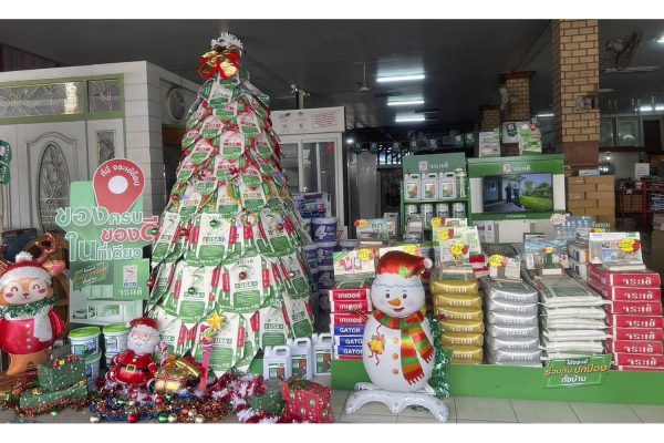 กาวซีเมนต์จระเข้