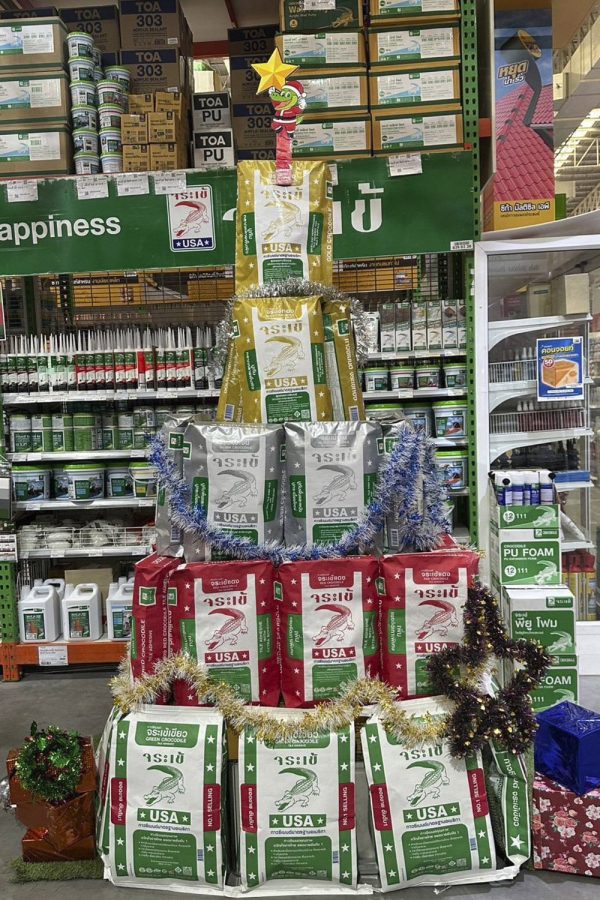 กาวซีเมนต์จระเข้