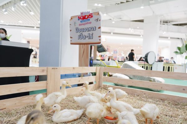 THE MALL LIFESTORE KIDS FUNTASIA