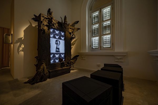 Skullpanda Cage-Uncage Showcase