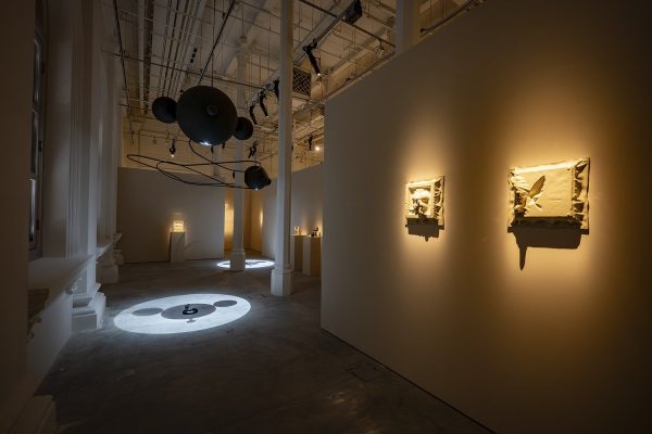 Skullpanda Cage-Uncage Showcase