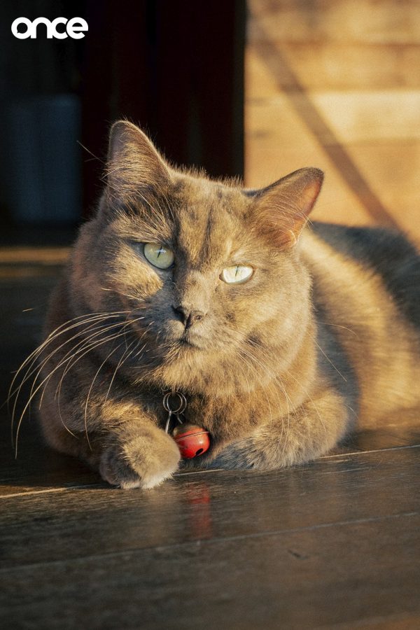 บ้านแชร์ใจ