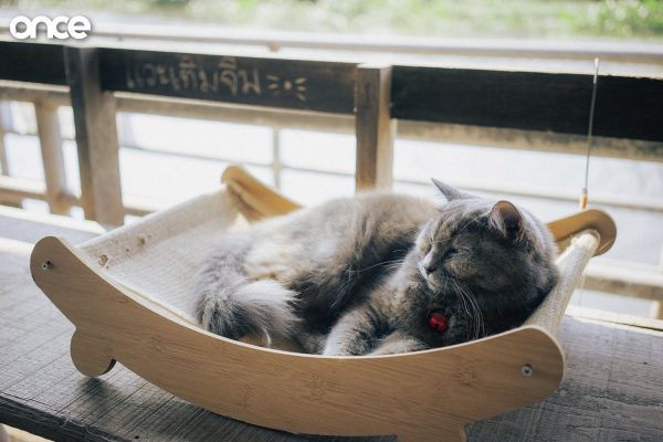 บ้านแชร์ใจ