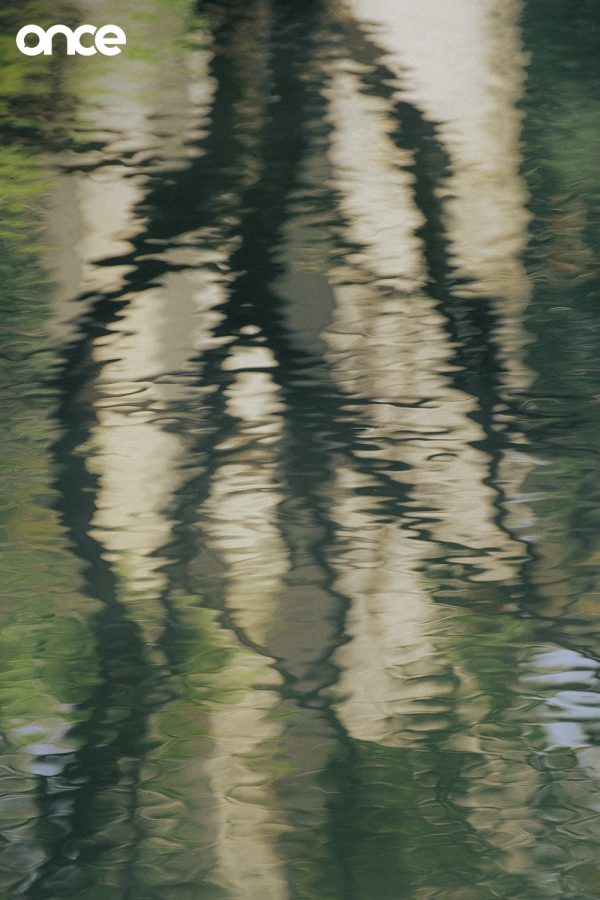 ปิยวัฒน์ หลุยลาภประเสริฐ