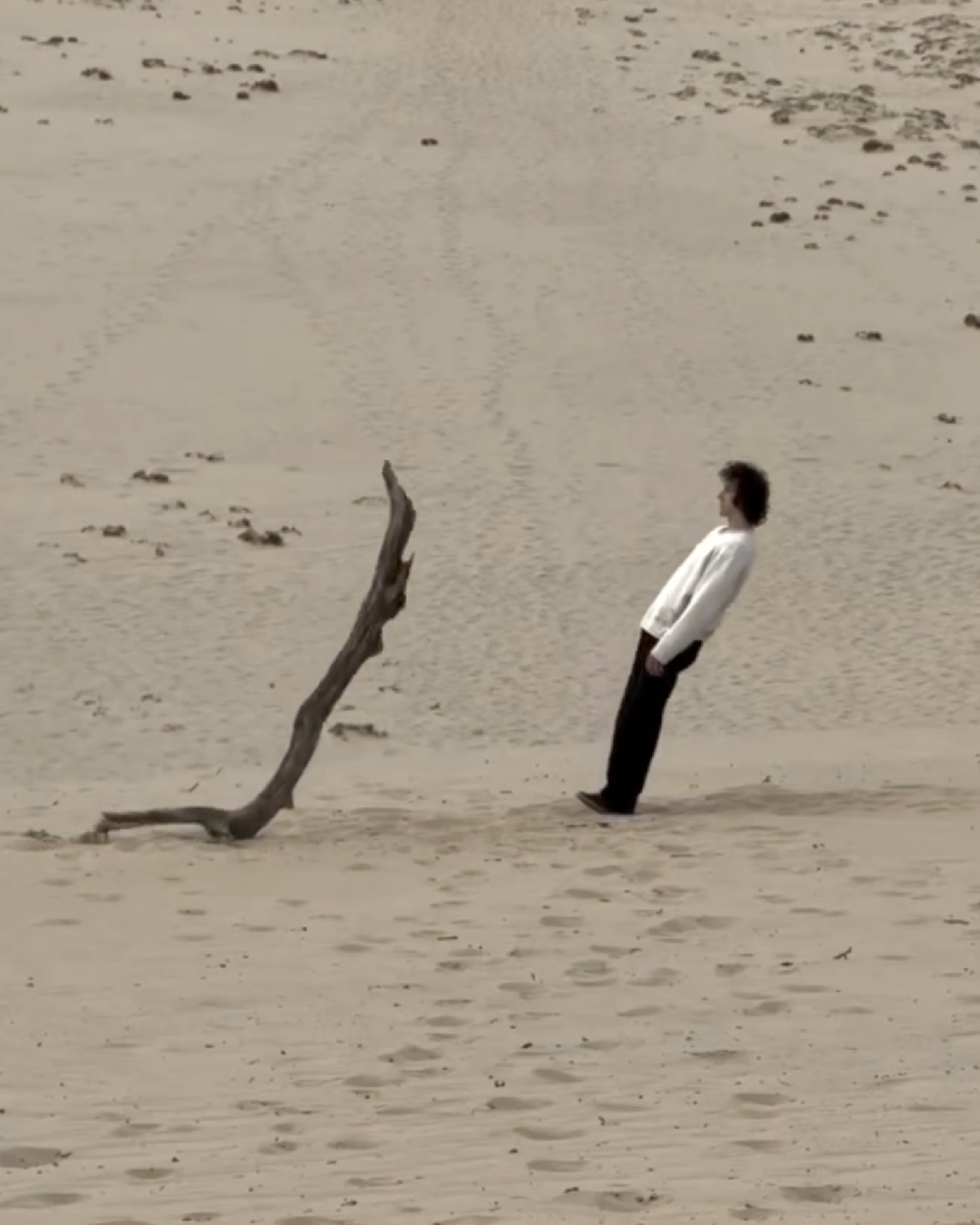 Movement Art จากกีฬาปากัวร์สู่ศิลปะขยับร่างสุดว้าว!