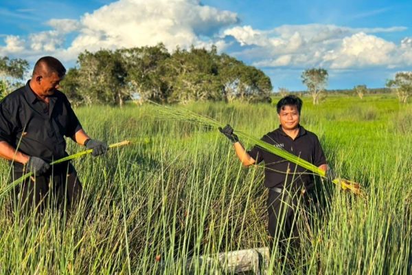 กระจูดวรรณี VARNI Craft