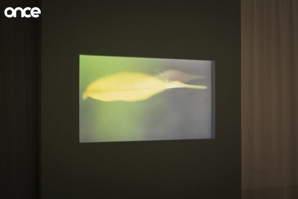 อกหักเชิญทางนี้