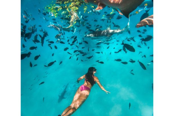 CROSSROADSMaldives