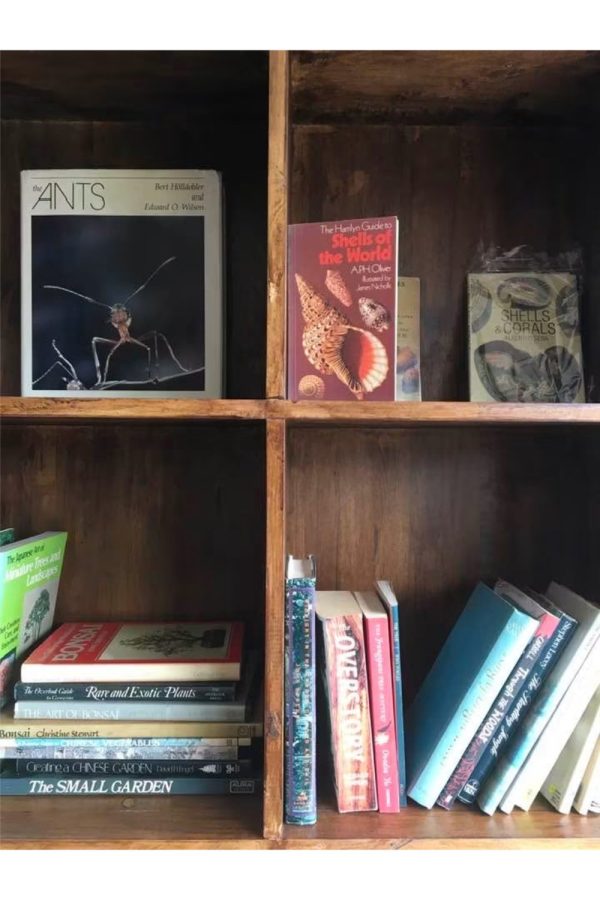 Rhythm and Books