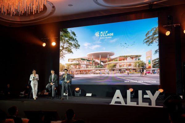 ALLYVillage