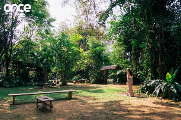 Hani Creative Space