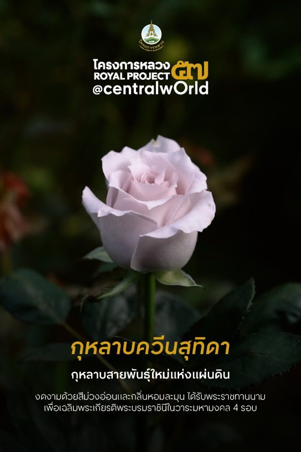งานโครงการหลวง 57