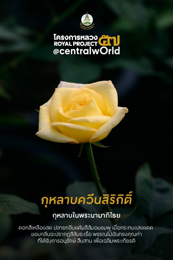 งานโครงการหลวง 57