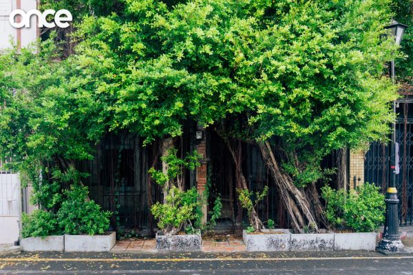 MISIEM’S SONGKHLA